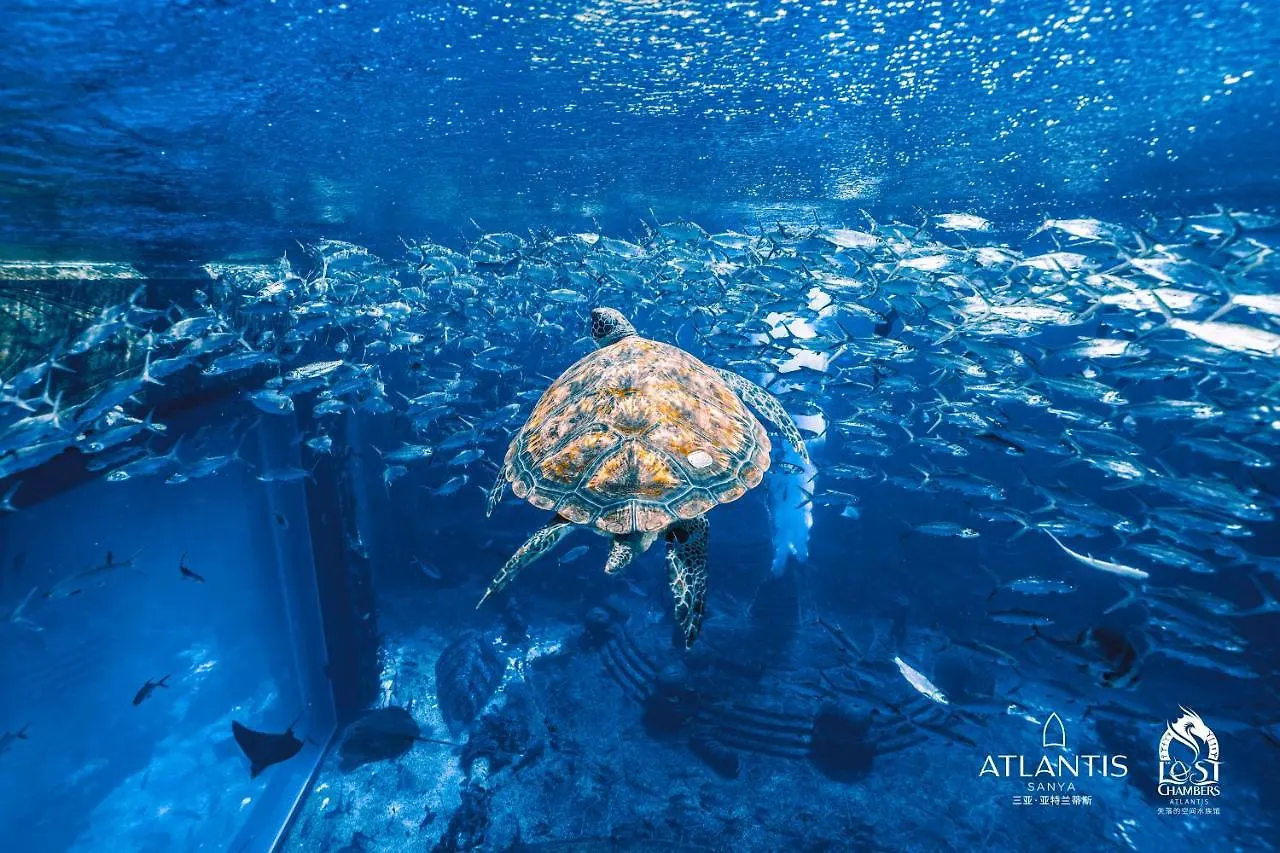 Resort Atlantis Sanya Hotel