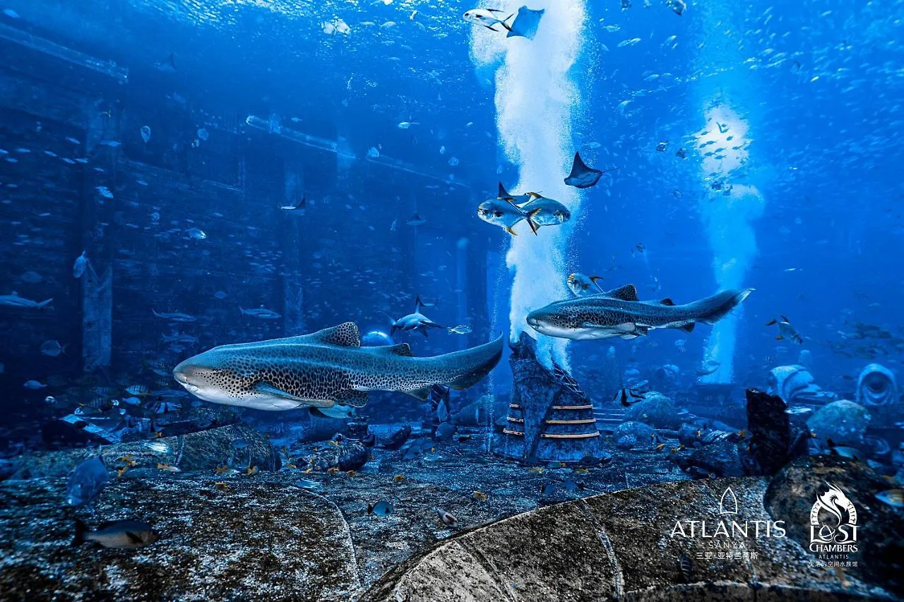 Atlantis Sanya Hotel 5*,